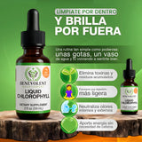CLOROFILA BENEVOLENT – Purifica tu cuerpo y equilibra tu energía desde adentro